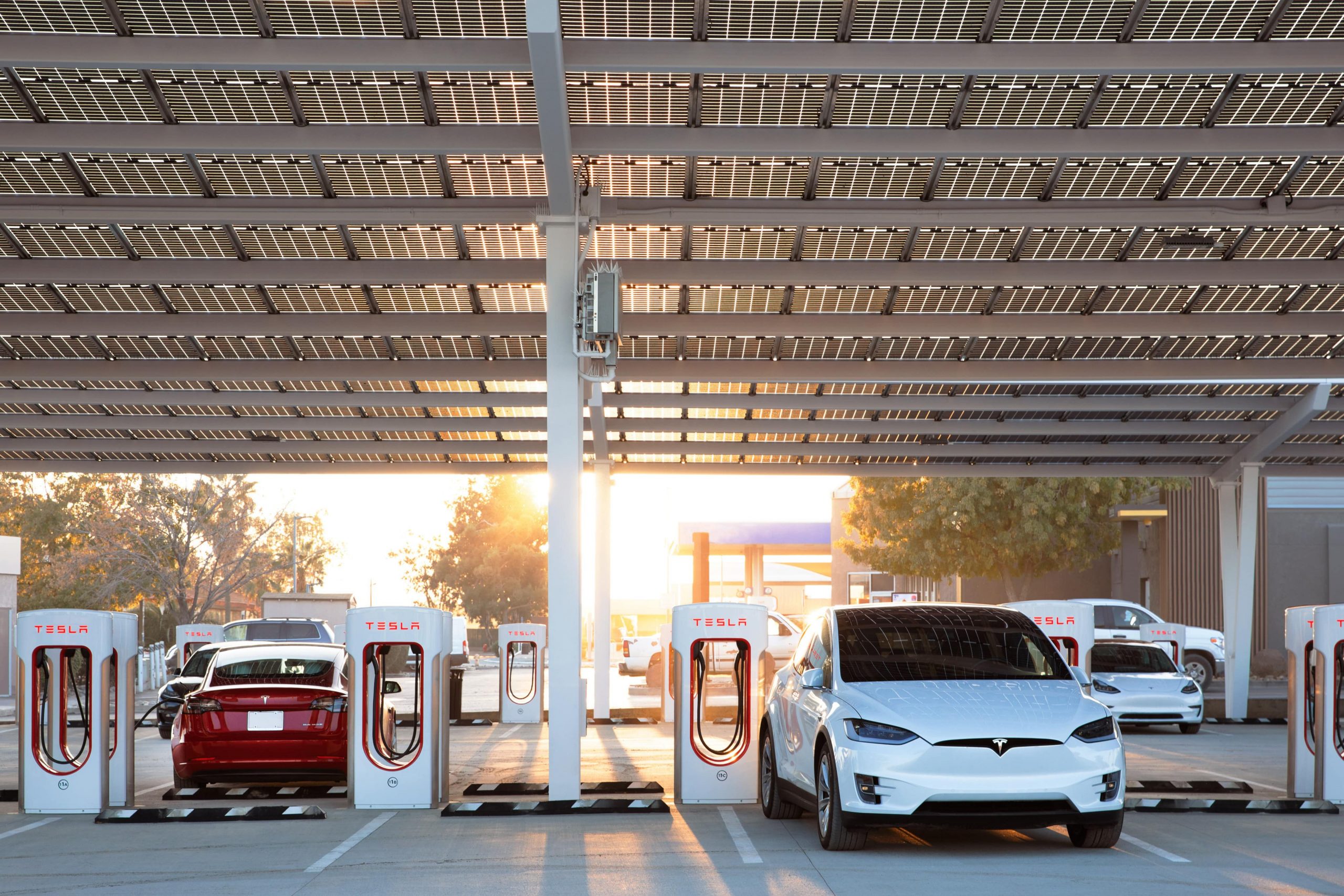 Two teslas recharging their batteries.