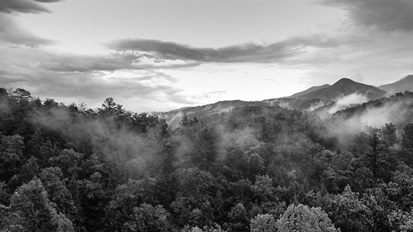 Great Smoky Mountains