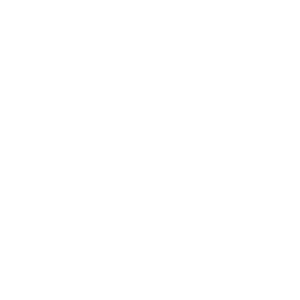 SandySansing