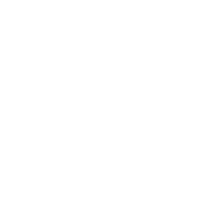 BMW_2