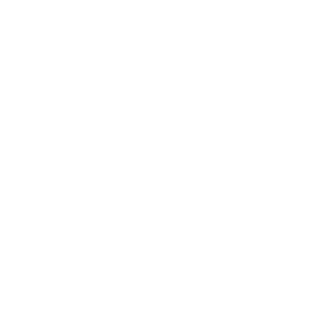 SandySansing
